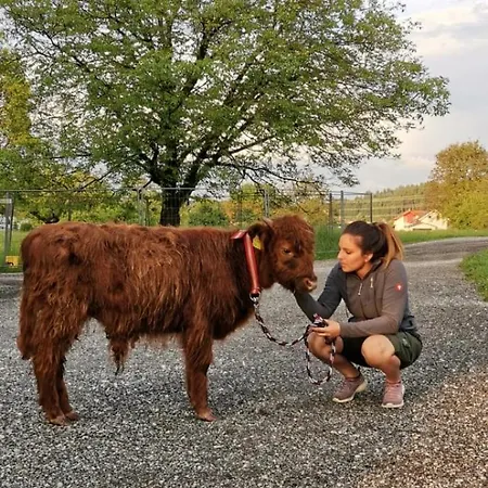 Hoisch Am Bauernhof * Furnitz