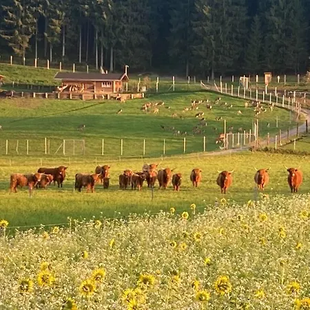 Hoisch Am Bauernhof Apartamento *
