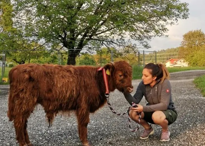 Hoisch Am Bauernhof * Furnitz