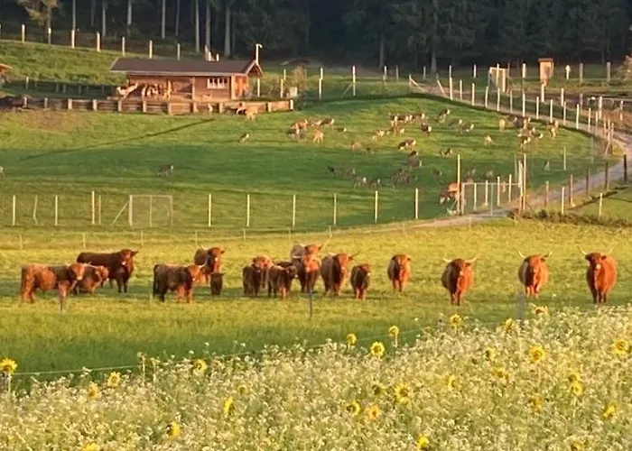 Hoisch Am Bauernhof Apartament *